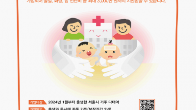 [서울] 올해 서울서 태어나는 쌍둥이 '안심보험' 무료 지원